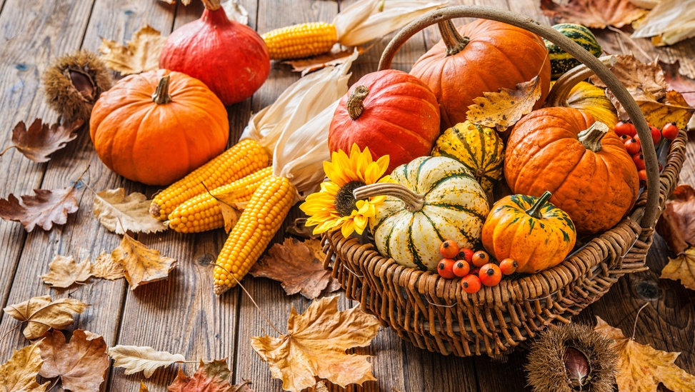 В городе Звенигово развернётся фестиваль «Пуртус поянлык»