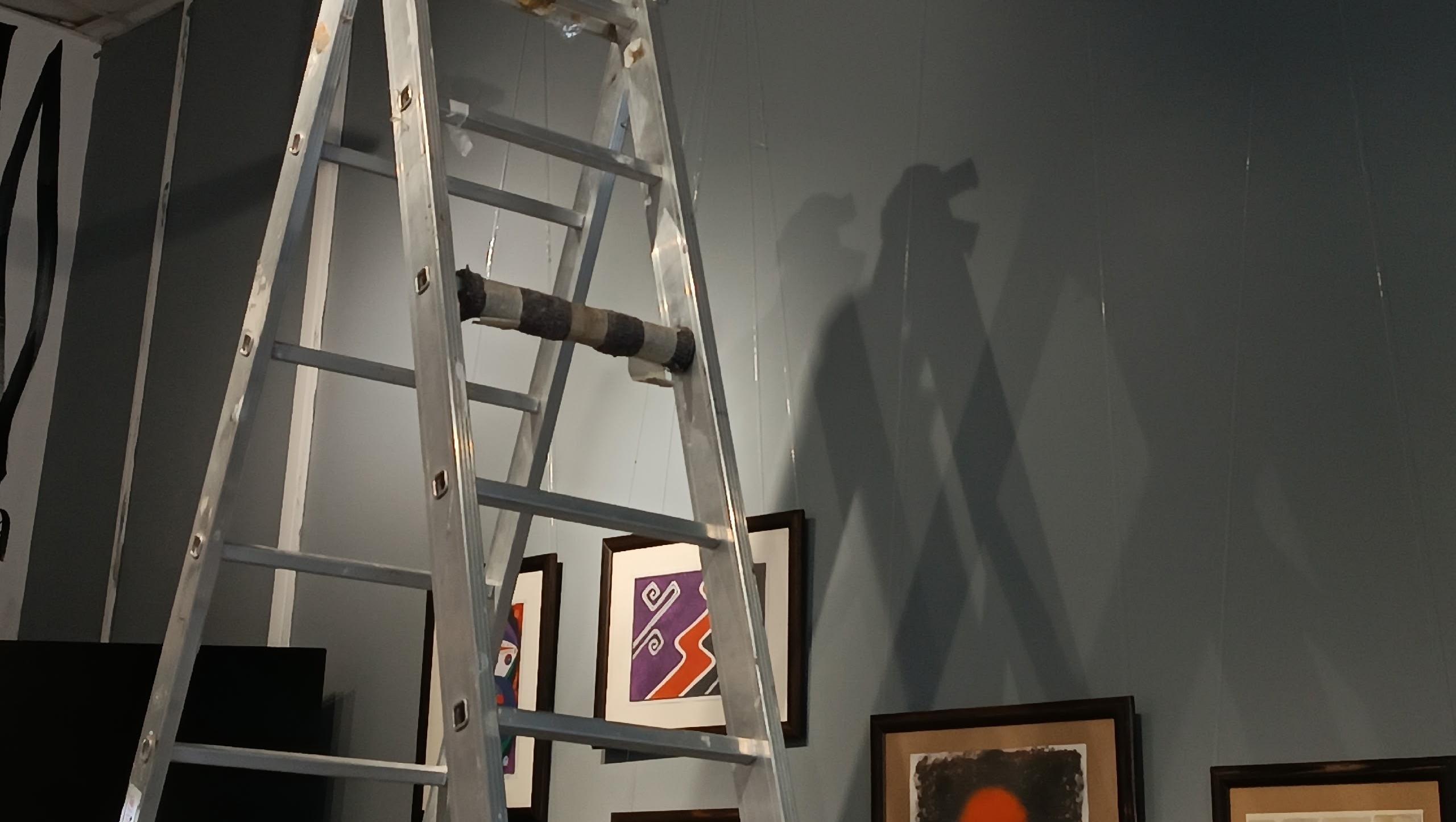 В «Башне» Йошкар-Олы красят залы и выращивают рассаду