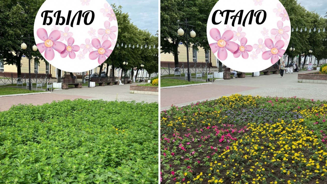 Клумбы Йошкар-Олы пропалывают от сорняков