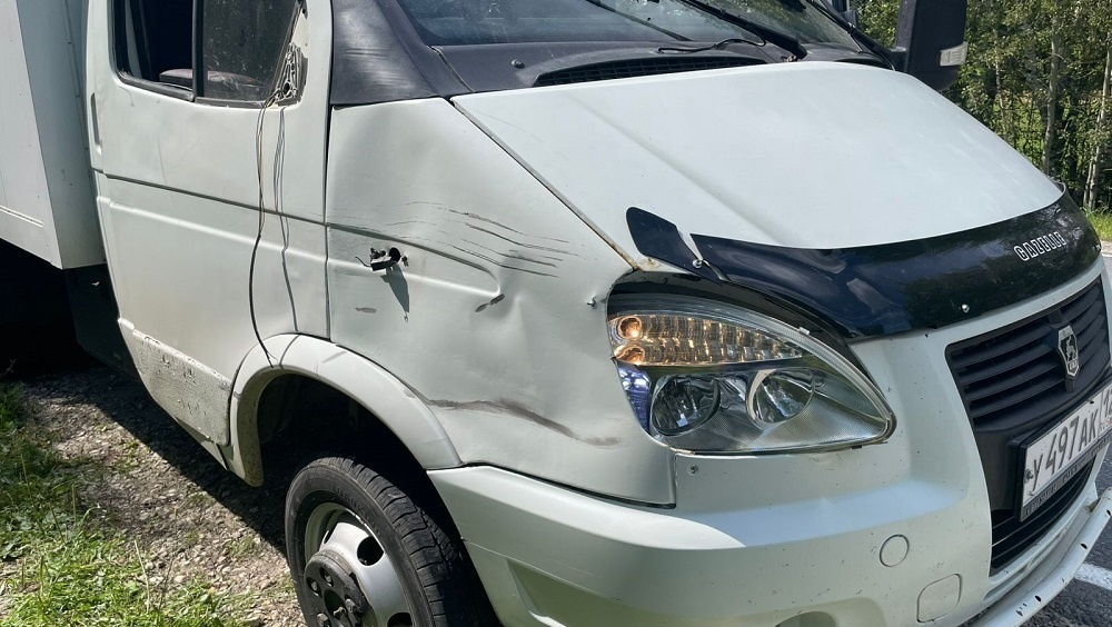 В Марий Эл водитель грузовика сбила велосипедистку и скрылась с места ДТП