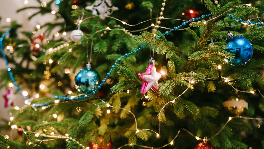 Советы по выбору ёлки на Новый год