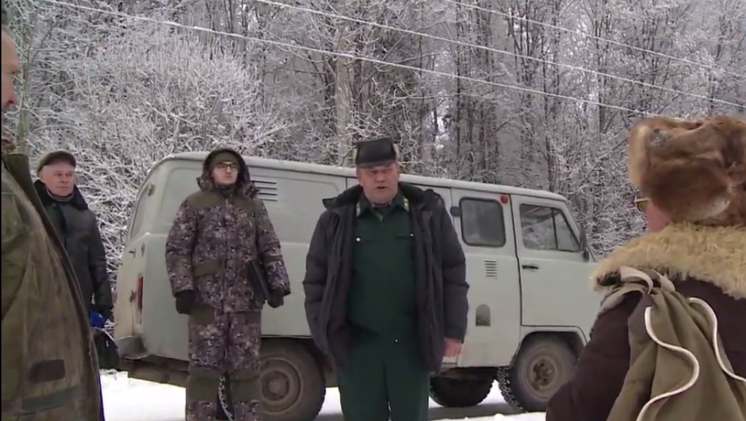 В лесах Марий Эл началась охота на «чёрных ёлкорубов»