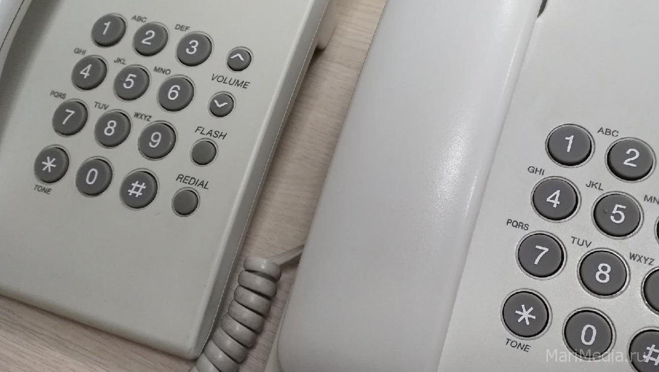 В Марий Эл пройдёт прямая линия с руководителем следственного управления Марий Эл