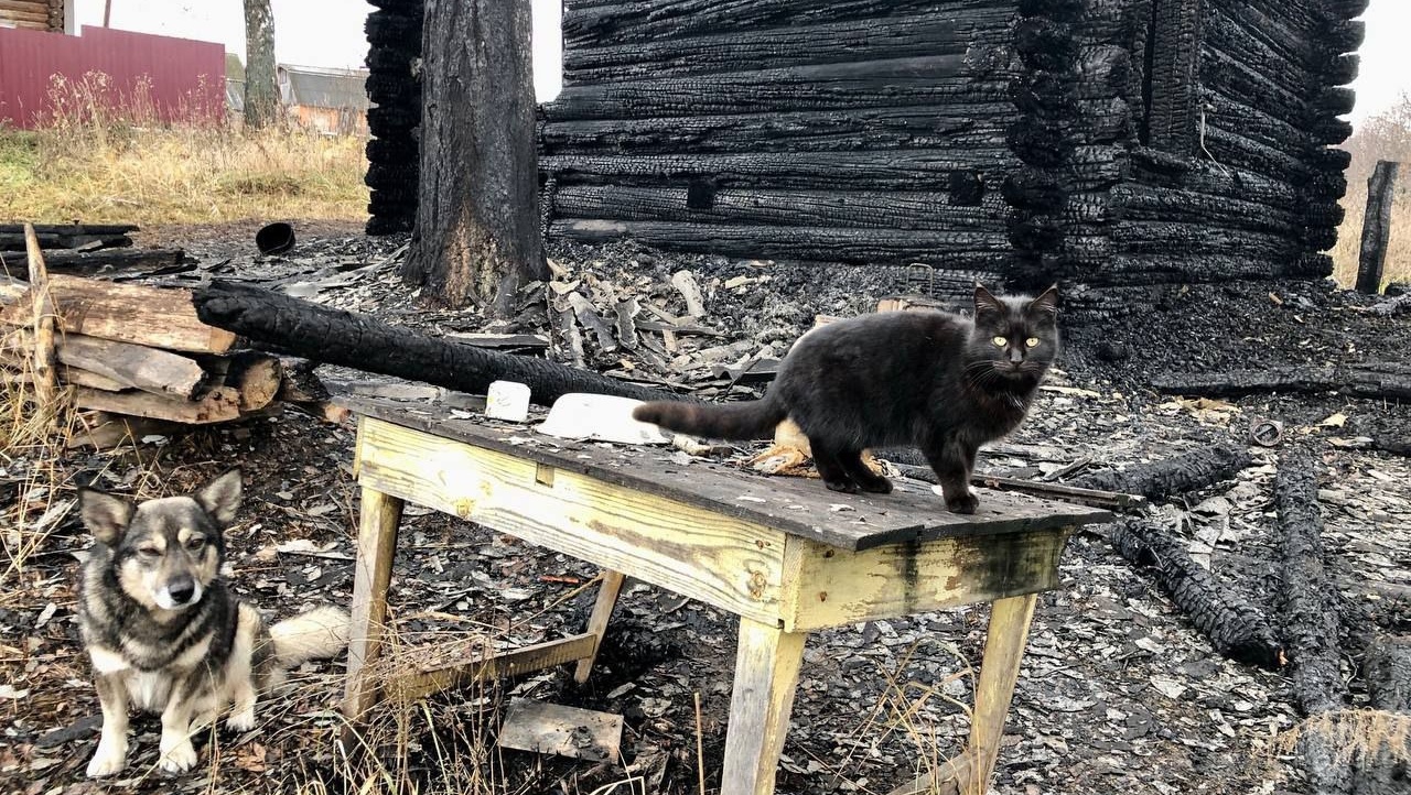 В деревне Озянкино в Горномарийском районе сгорел дом