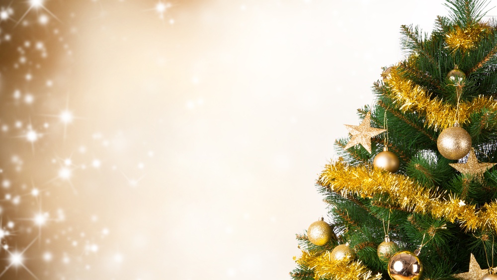 Йошкаролинка потеряла деньги, покупая искусственную ель в интернет-магазине