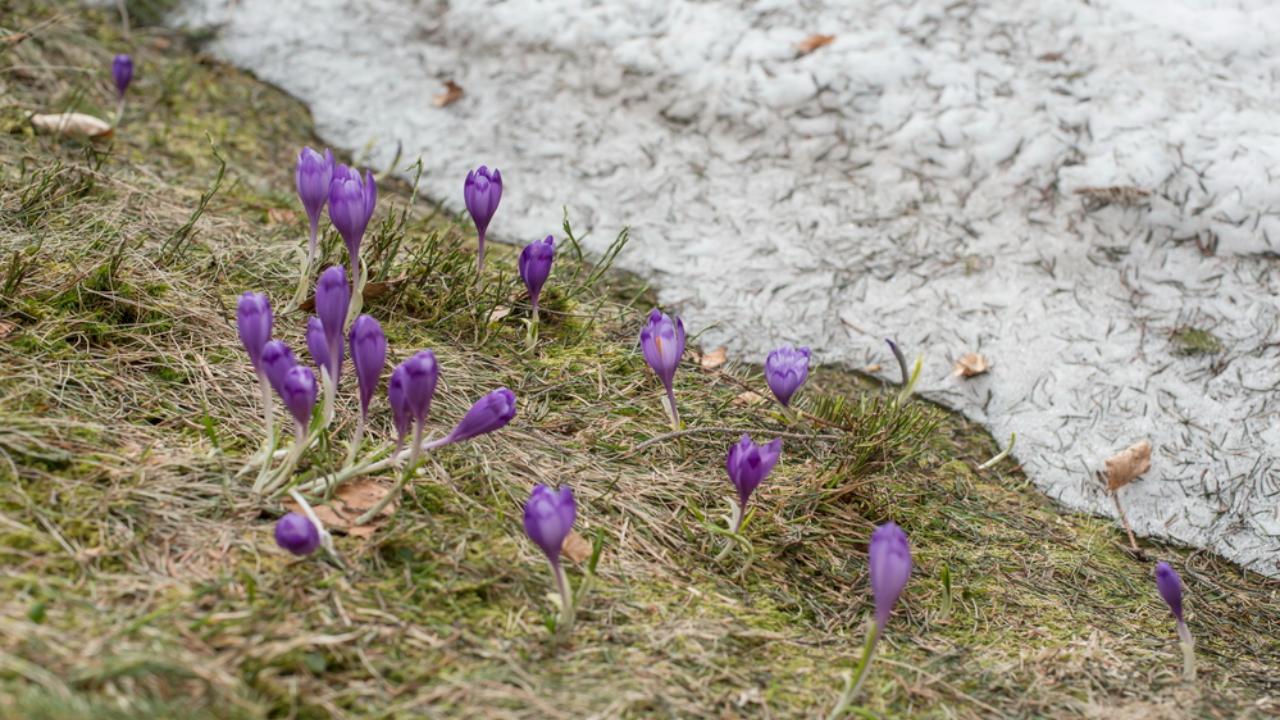 В Марий Эл в эти дни сохранится тёплая весенняя погода