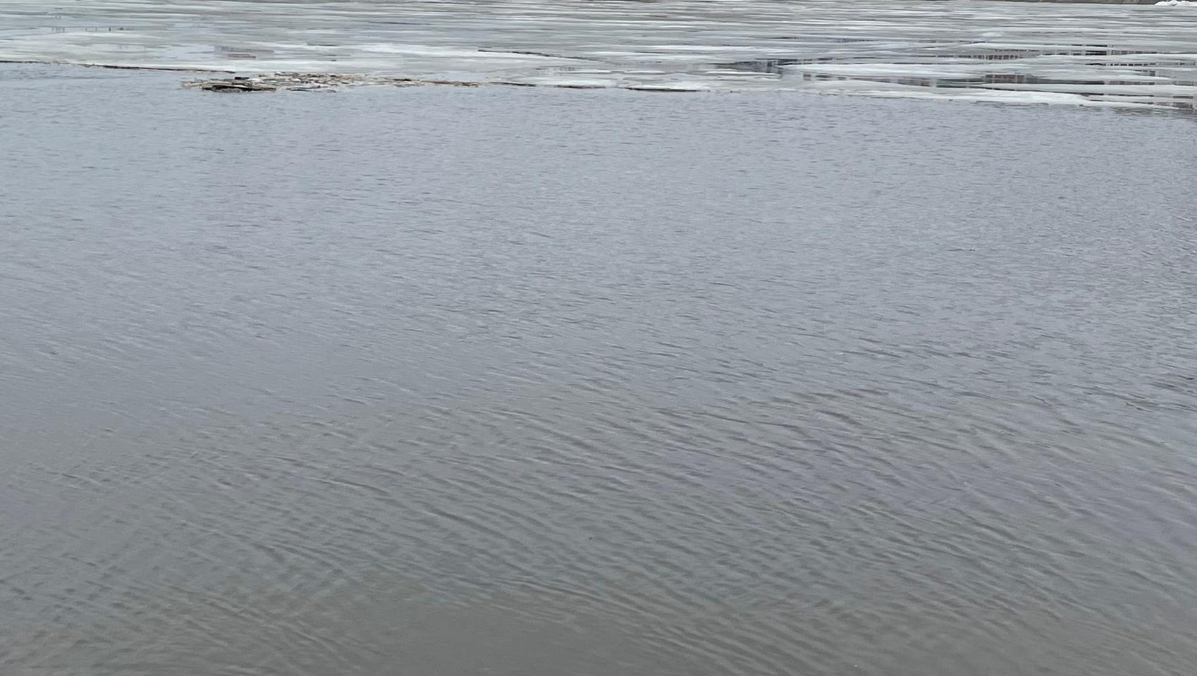 На Малой Кокшаге прогнозируют подъём воды до опасной отметки 630 см