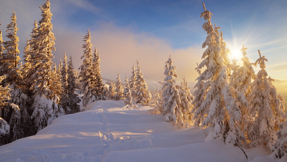 Самая холодная ночь сегодня была в Новом Торъяле