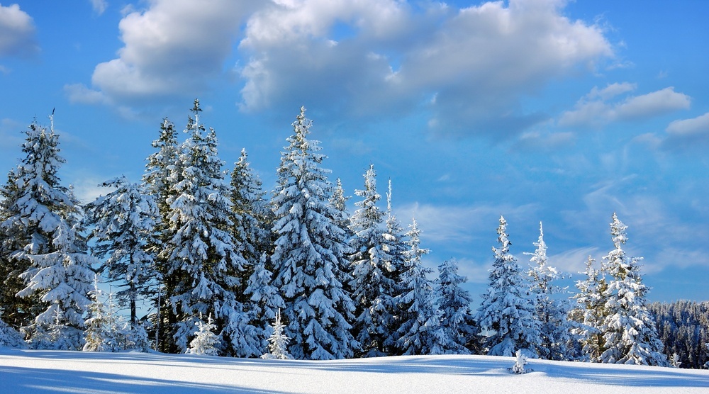 В Марий Эл похолодает до -12ºС