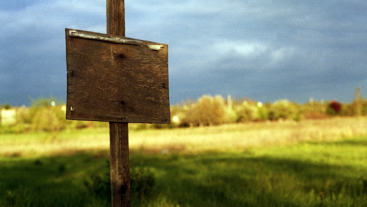 В Марий Эл за спекуляцию с землёй чиновница получила условный срок