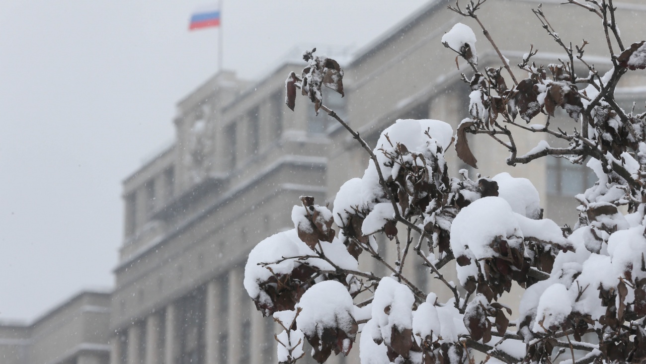 Вдовы погибших участников СВО, повторно вышедшие замуж, не смогут претендовать на соцподдержку от государства