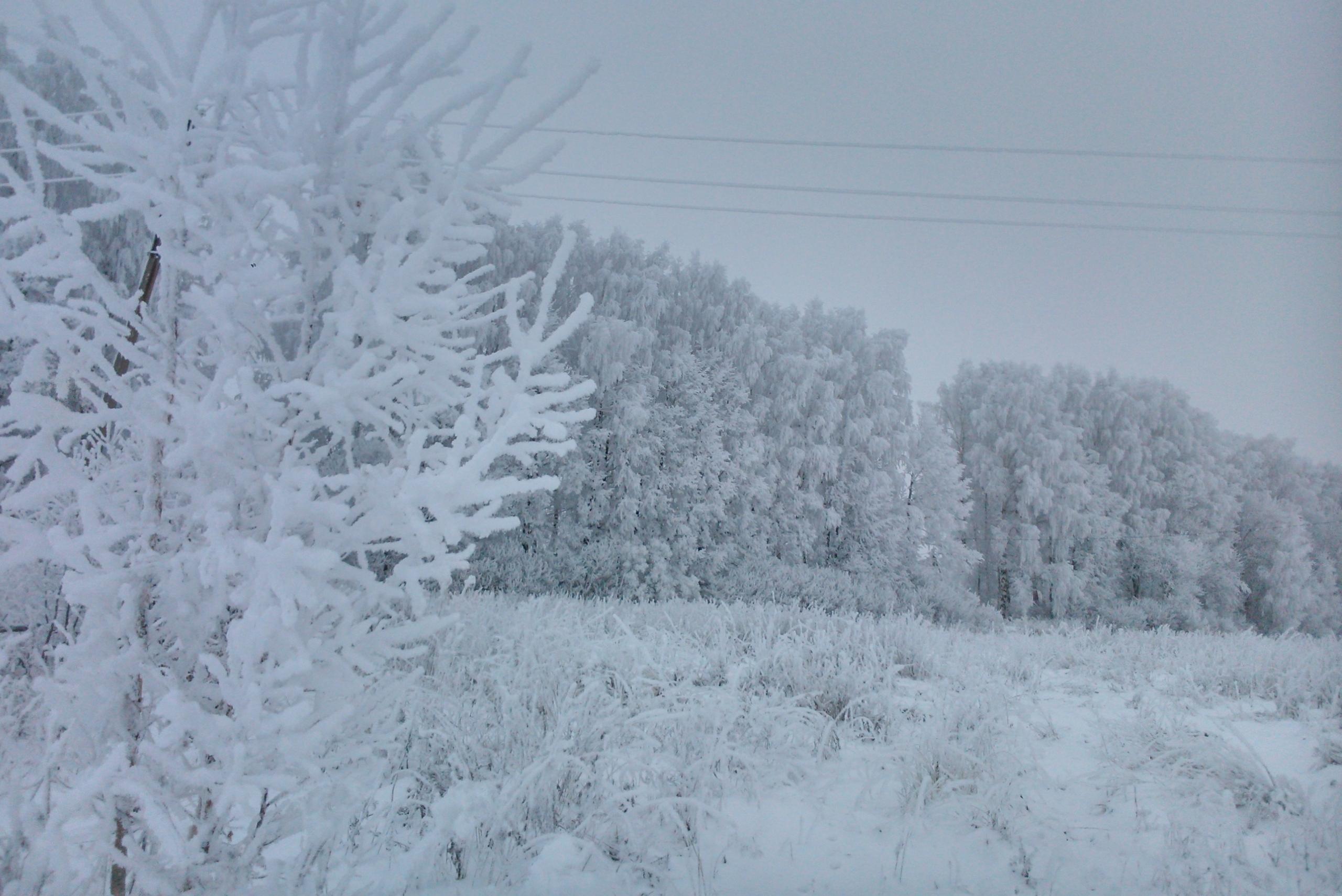 В Марий Эл к восьми населённым пунктам не могут проехать машины с продовольствием