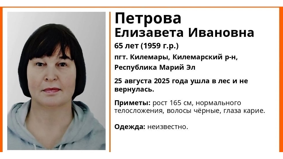 65-летняя жительница посёлка Килемары ушла в лес и не вернулась