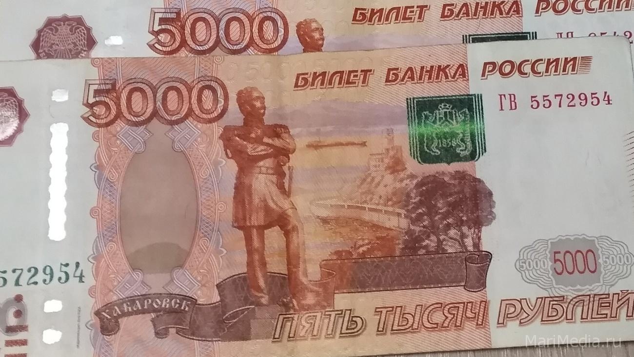 В Йошкар-Оле осудили афериста, набравшего долгов на несколько миллионов