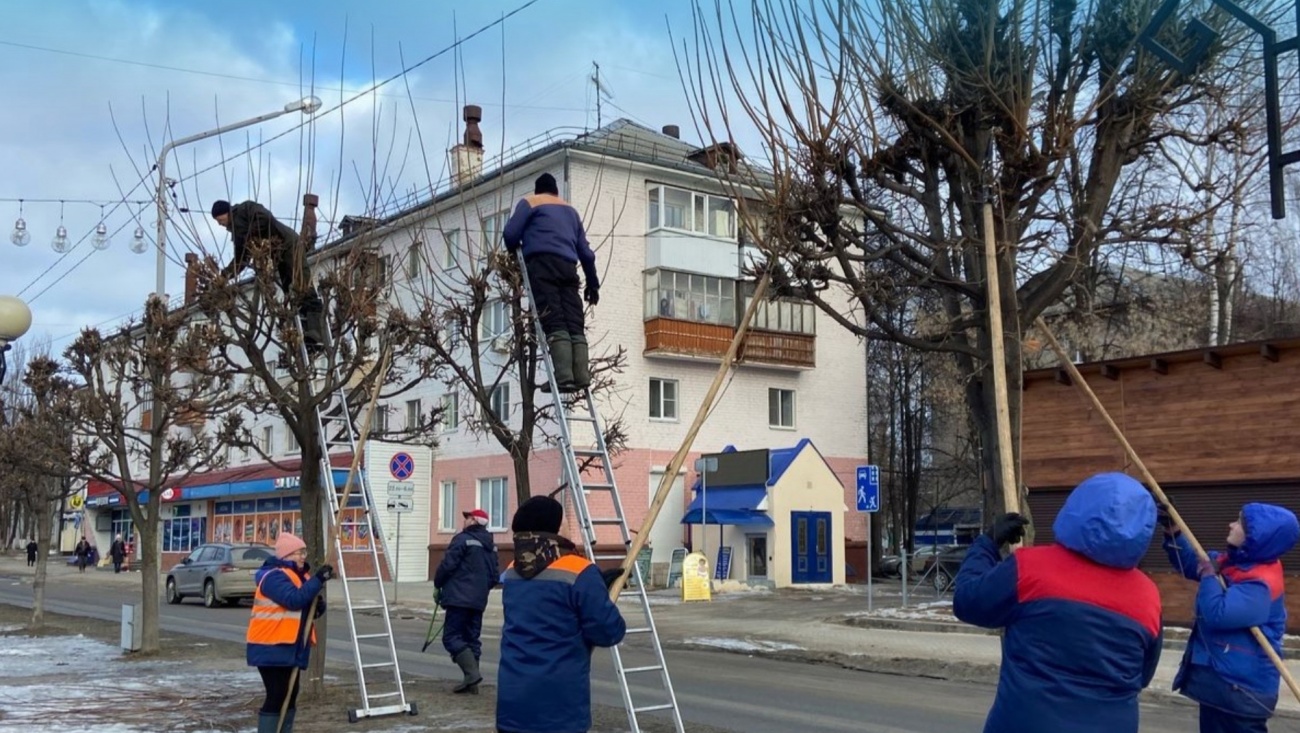 В Йошкар-Оле постригают деревья