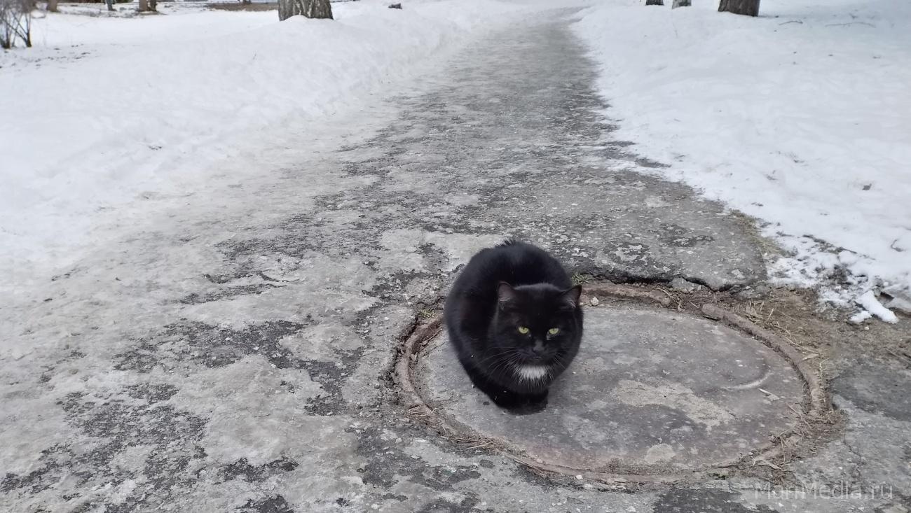 Эта неделя в Марий Эл будет сырой и морозной