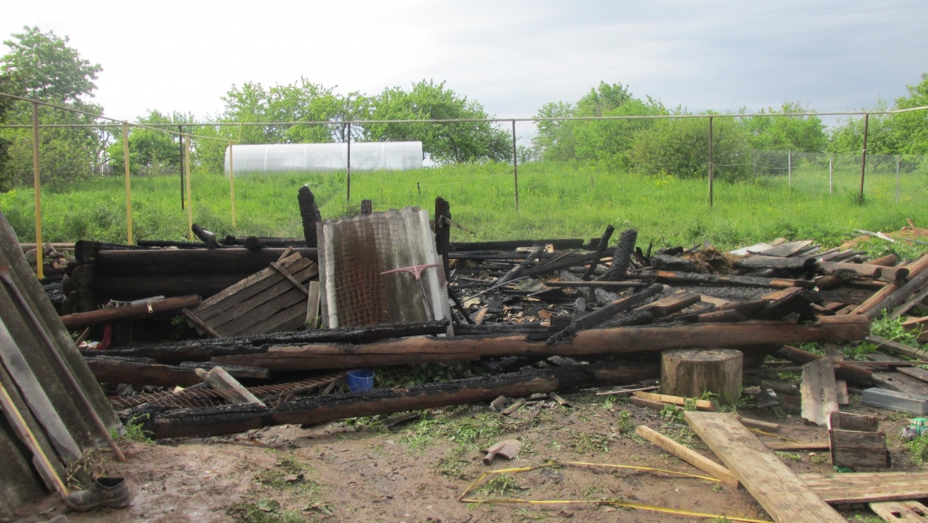 В Марий Эл семилетний мальчик спалил сарай