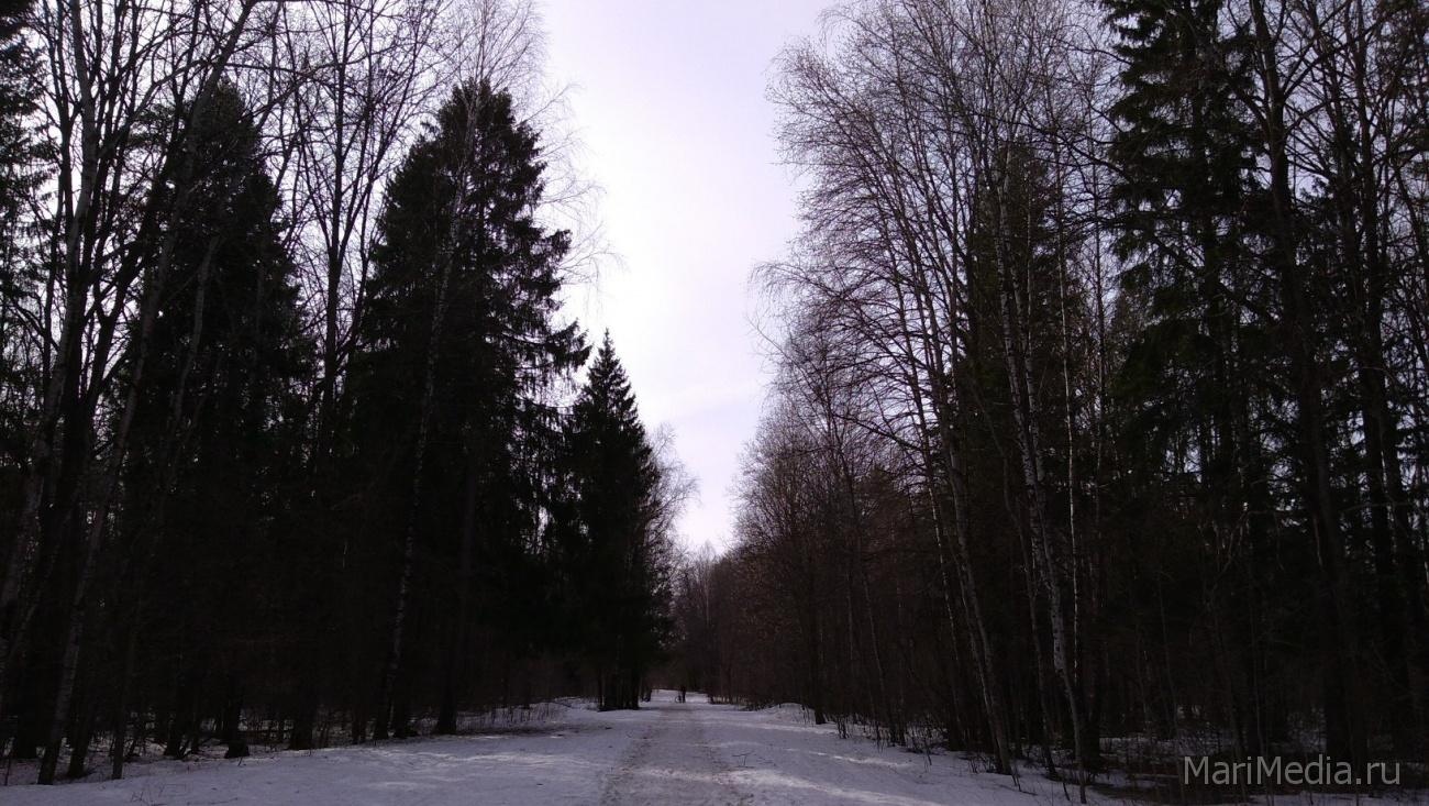 В Марий Эл ночью будет ограничено движение по  Казанскому тракту