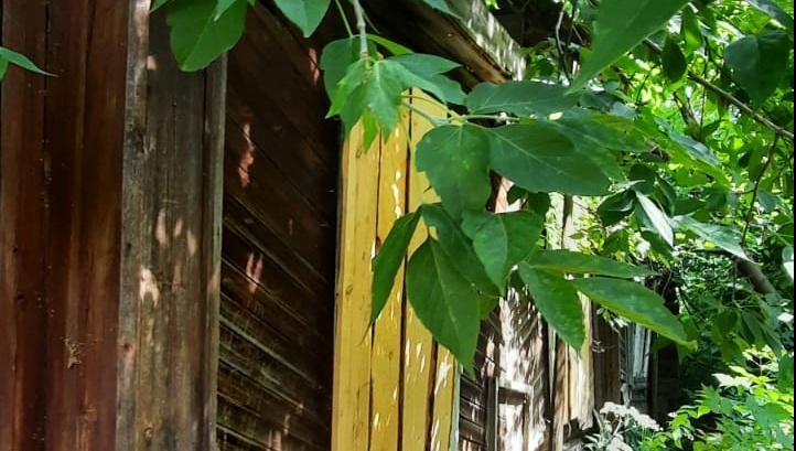 Собственник полуразрушенного дома на улице Конакова решает, что с ним делать