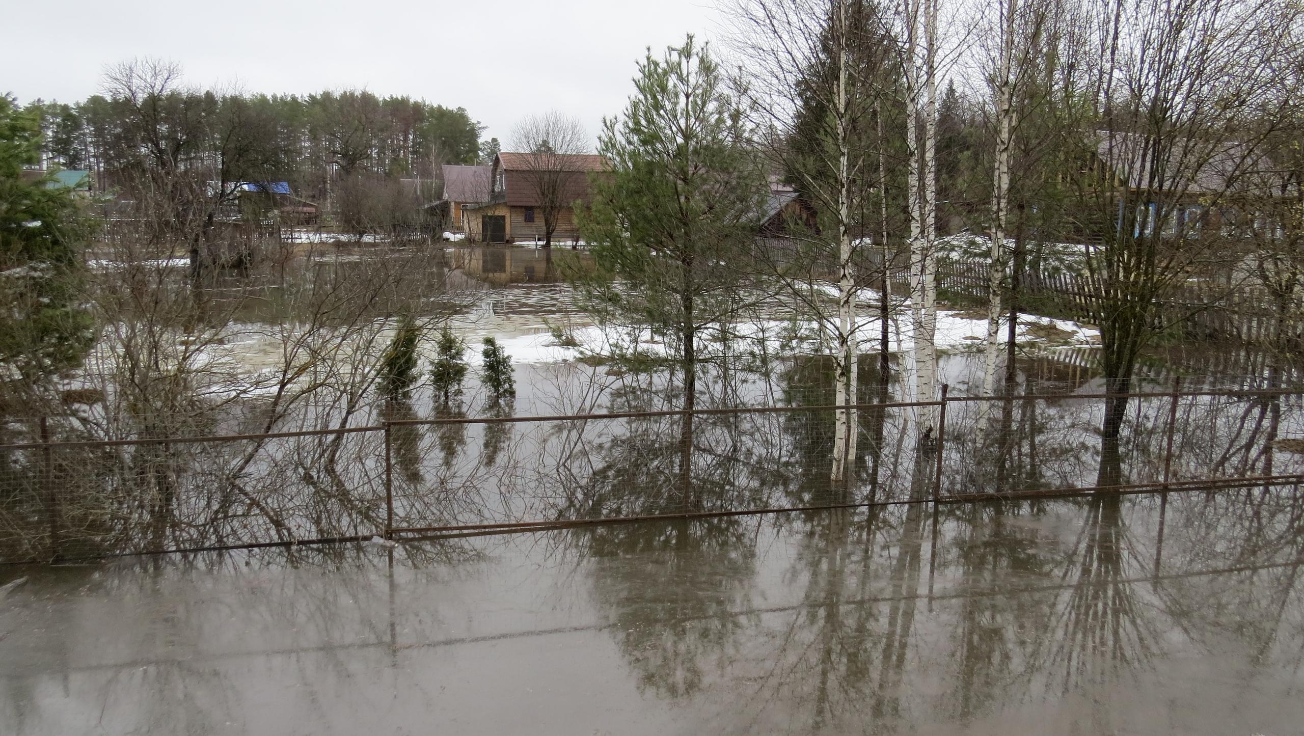 В Марий Эл уровень воды в реке Большая Кокшага за сутки поднялся на 550 см 