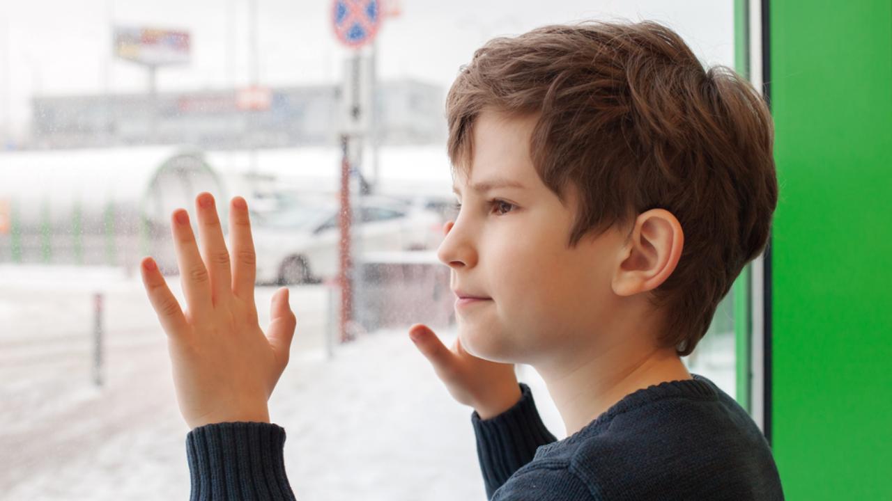 В Йошкар-Оле ученики начальной школы остались дома