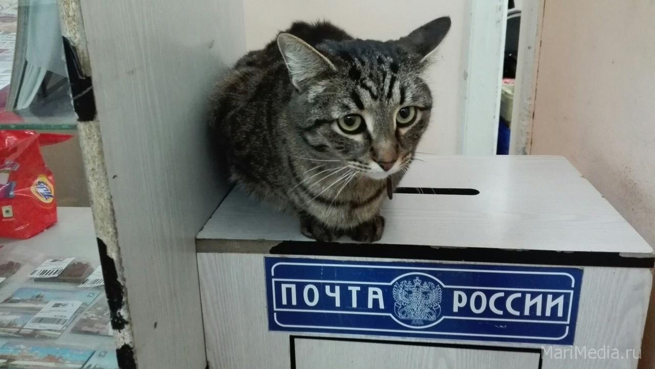 В сентябре жители ул. Большое Чигашево останутся без почты