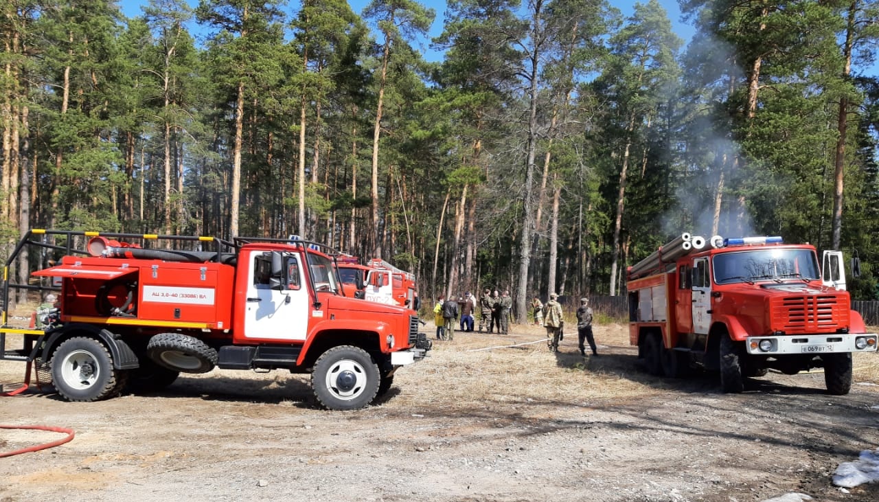 В Куярском лесничестве «тушили» крупный пожар