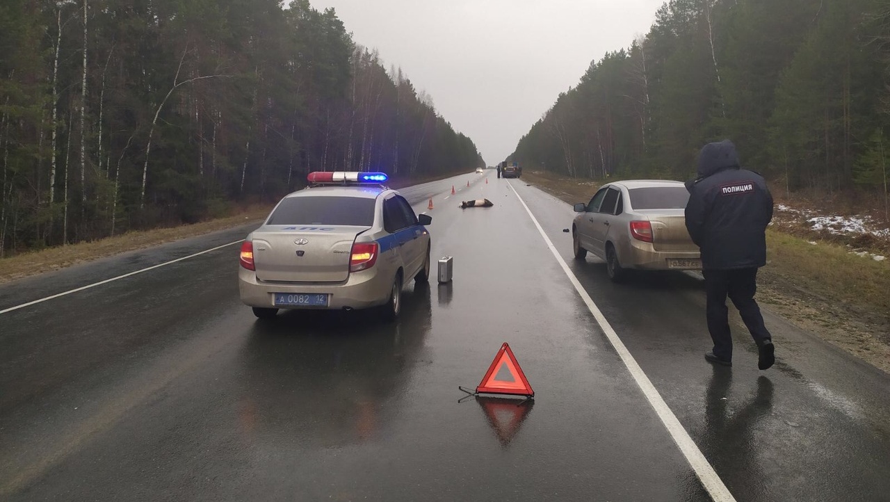 В районе Кокшайского кольца сбили насмерть пешехода 18+