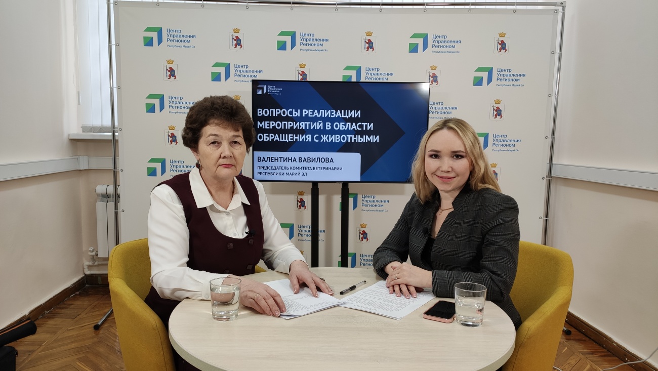 В Марий Эл запретили держать кошек и собак на балконах и лоджиях