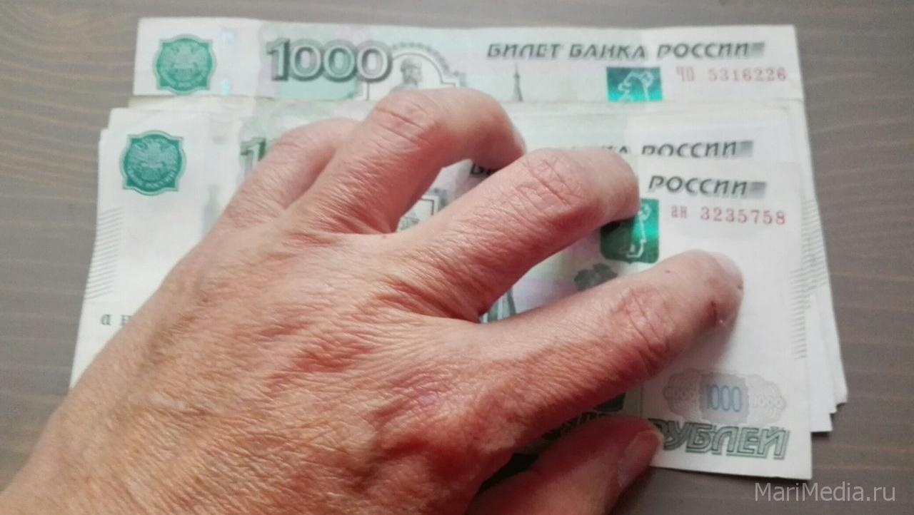 В Марий Эл пенсии выплатят до Дня защитника Отечества