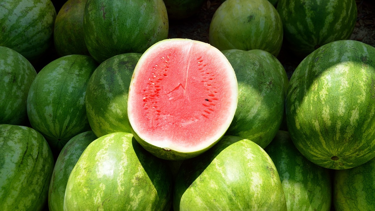 В Йошкар-Оле бахчевые развалы оборудуют в едином стиле