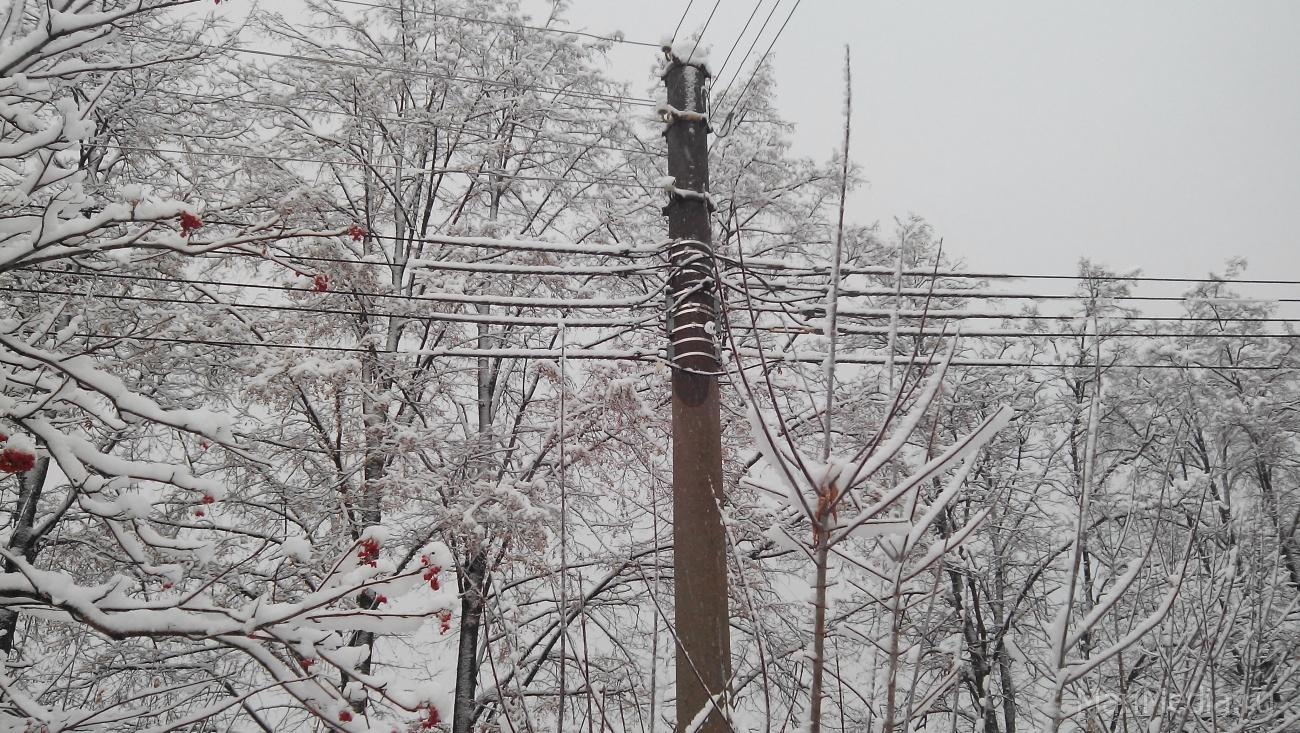 В Килемарском районе ураганный ветер оставил без света 11 населённых пунктов