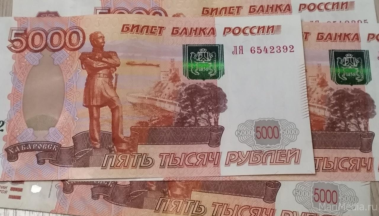 Йошкаролинец взял кредит и перевёл мошеннику один миллион рублей