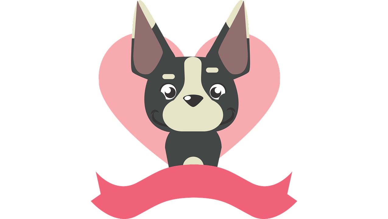 Любовь к питомцу стоила йошкаролинке трёх тысяч рублей