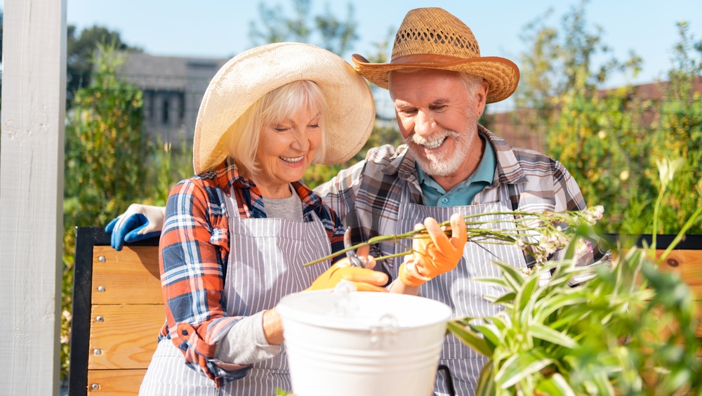 ПФР: Как получить пенсию в дачный сезон