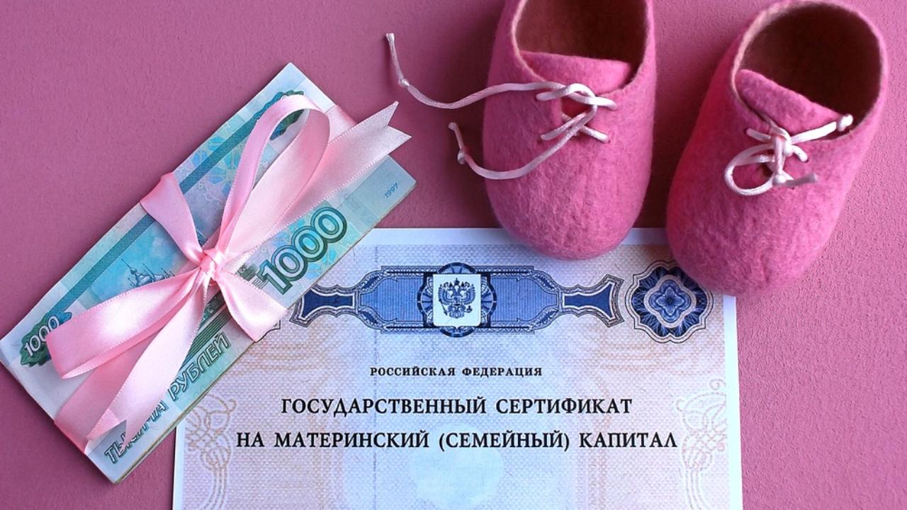 В Счётной палате рассказали, куда направляли маткапитал в 2025 году