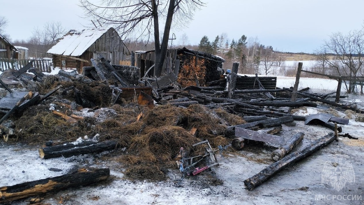 В Горномарийском районе вместе с сараями сгорели 28 животных