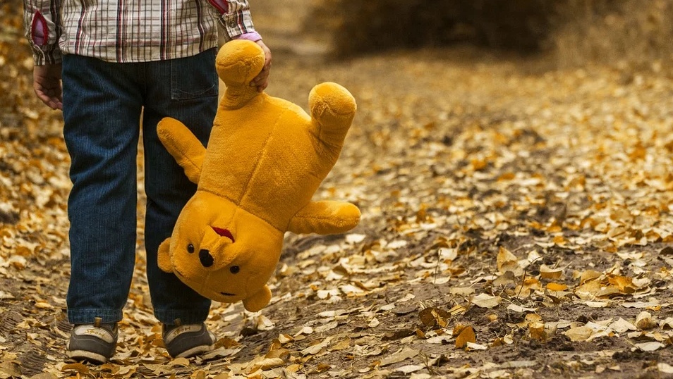 В Марий Эл мать пятерых сыновей не хочет платить алименты