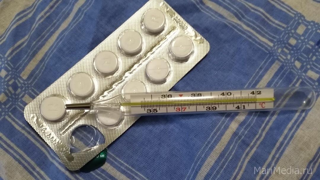 В Марий Эл 27 человек за неделю заболели «свиным гриппом»