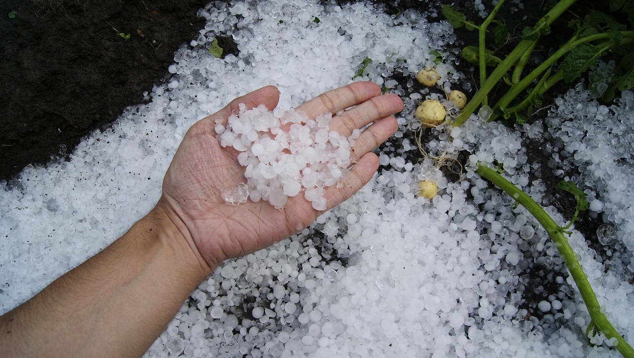 В Марий Эл обещают грозы, град и порывистый ветер