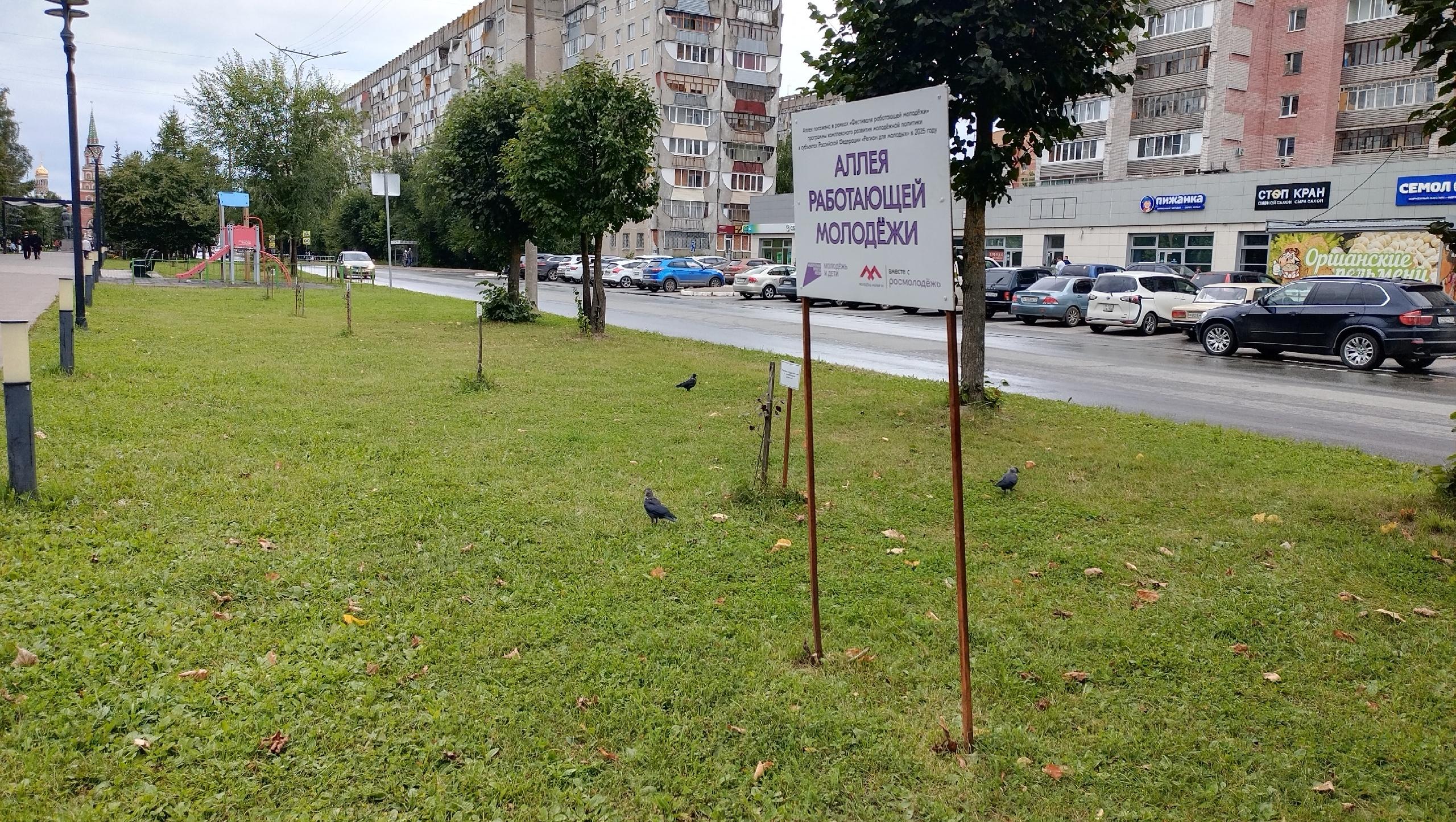 В Йошкар-Оле на «Аллее работающей молодёжи» подрастают декоративные яблони