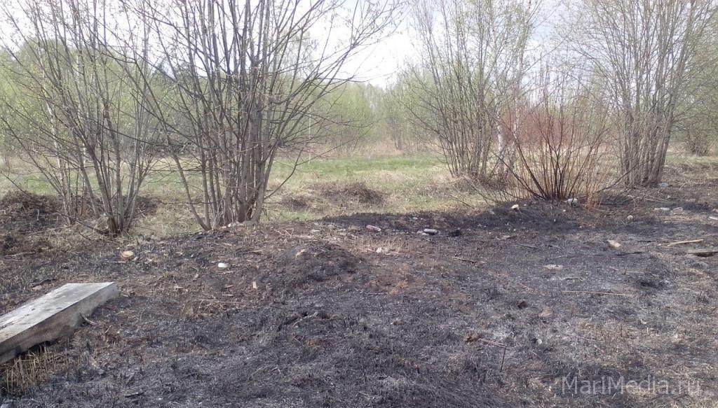 В майские праздники пожарные 70 раз выезжали на тушение сухой травы