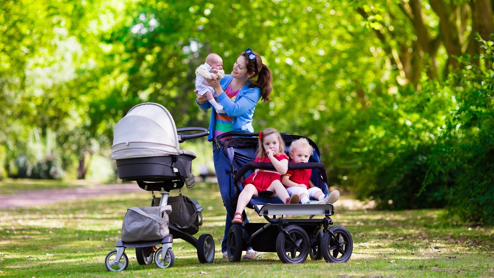 В Марий Эл 588 многодетных семей получили региональный маткапитал