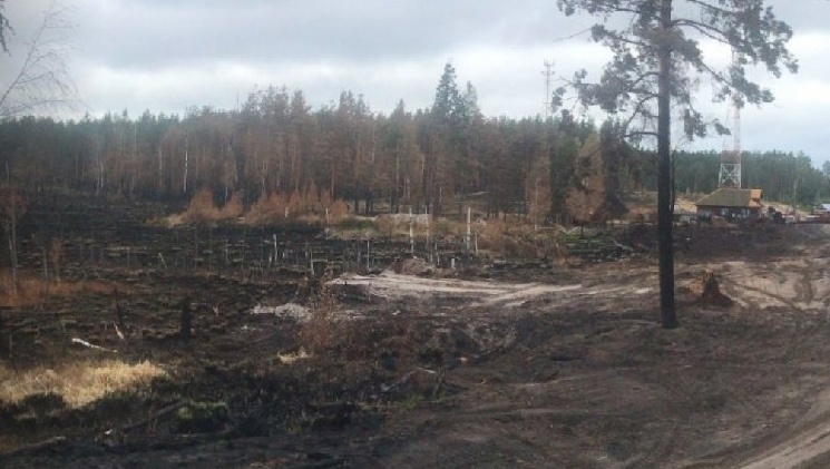 В Марий Эл продолжают тлеть 3 гектара территории лесов