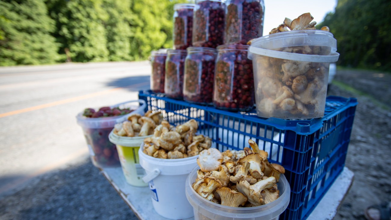 Специалисты не рекомендуют покупать продукты на стихийных рынках вдоль трасс