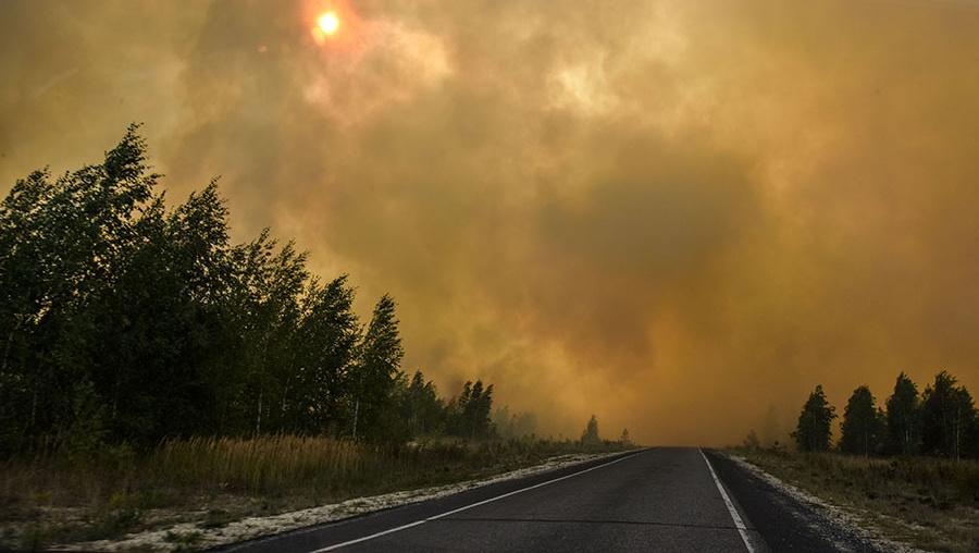 В Марий Эл площадь лесного пожара увеличилась до 891,5 га