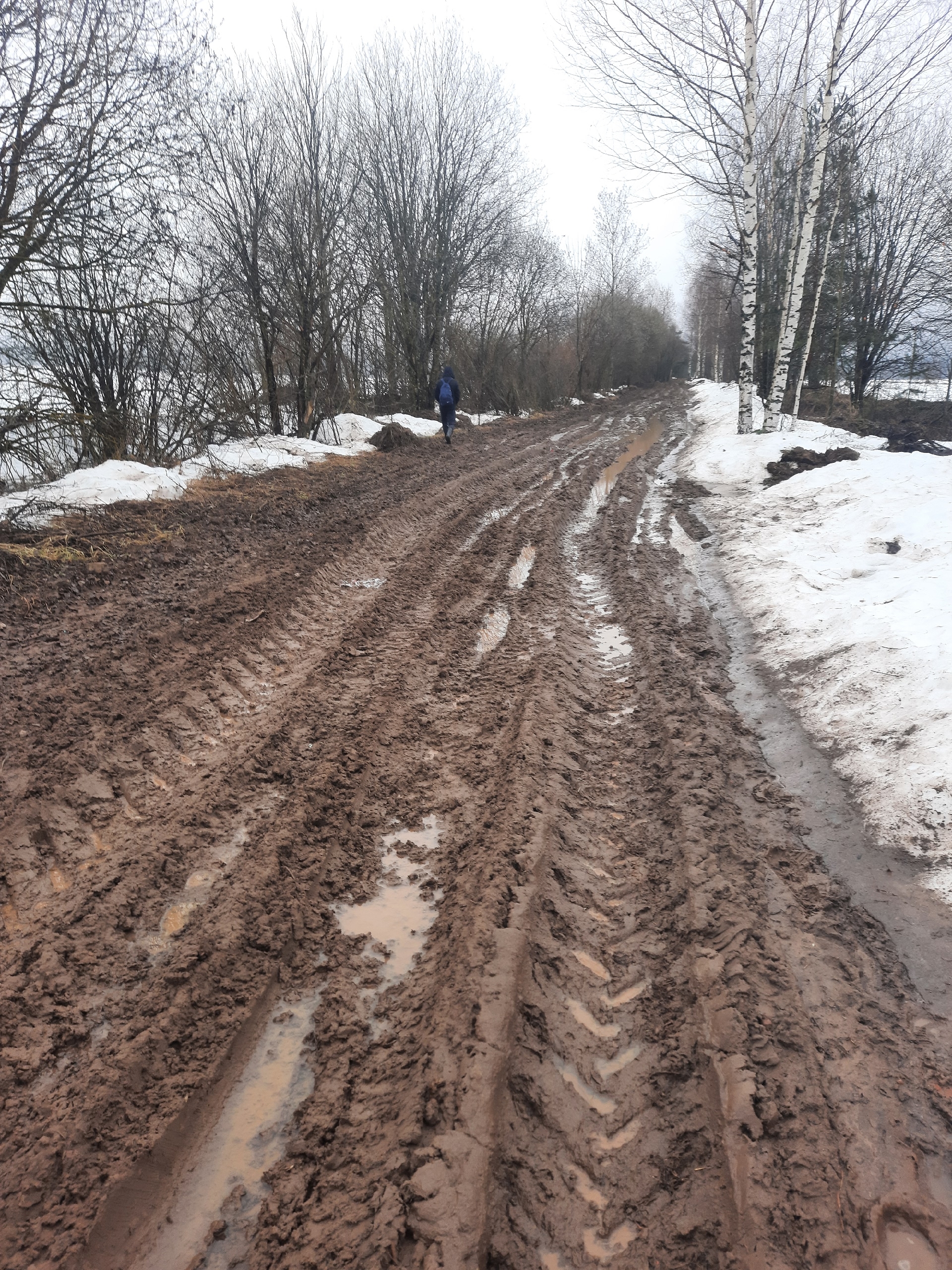 В Оршанском районе по бездорожью ходит не одно поколение местных жителей