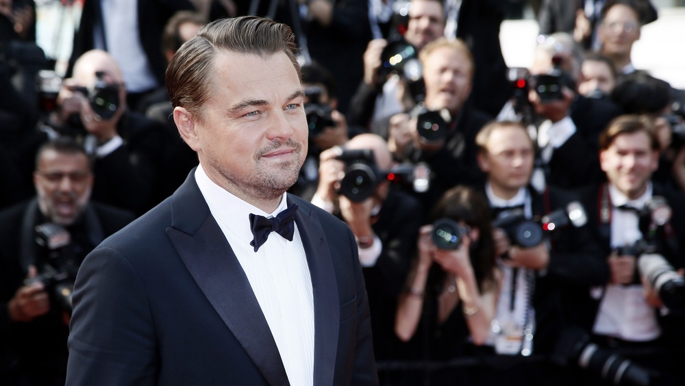 Аферист под видом Леонардо ди Каприо выманил у жительницы Чебоксар  80 тысяч рублей