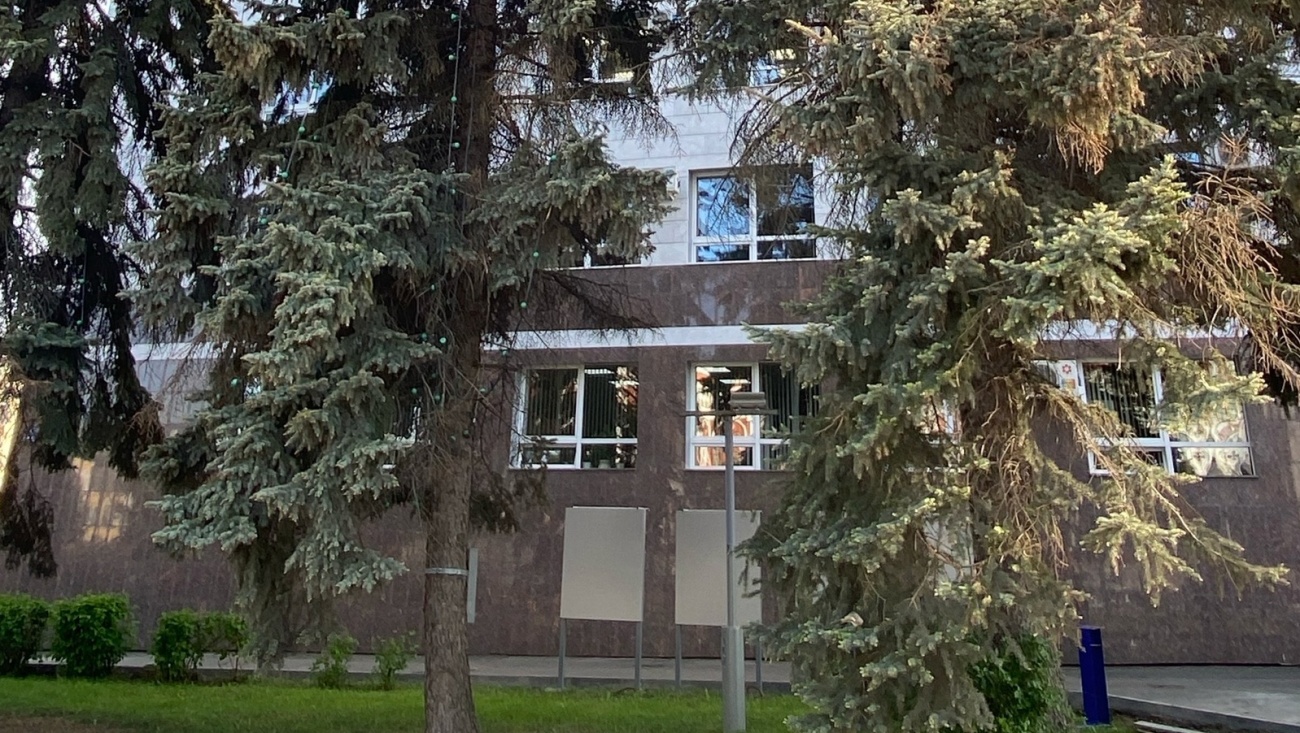 В Йошкар-Оле спилят ели возле мэрии