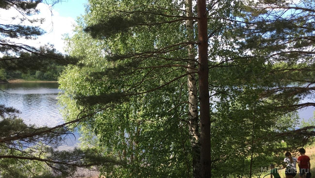 В Марий Эл ожидается аномальная жара